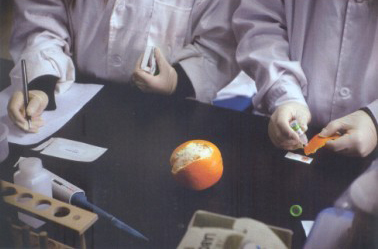 2013年3月28日，北京智云達科技有限公司食品安全快檢實驗室，技術(shù)員正在檢測橙子表皮的農(nóng)藥殘留是否超標